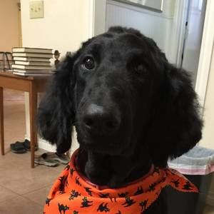 Meet your Posher, Carla